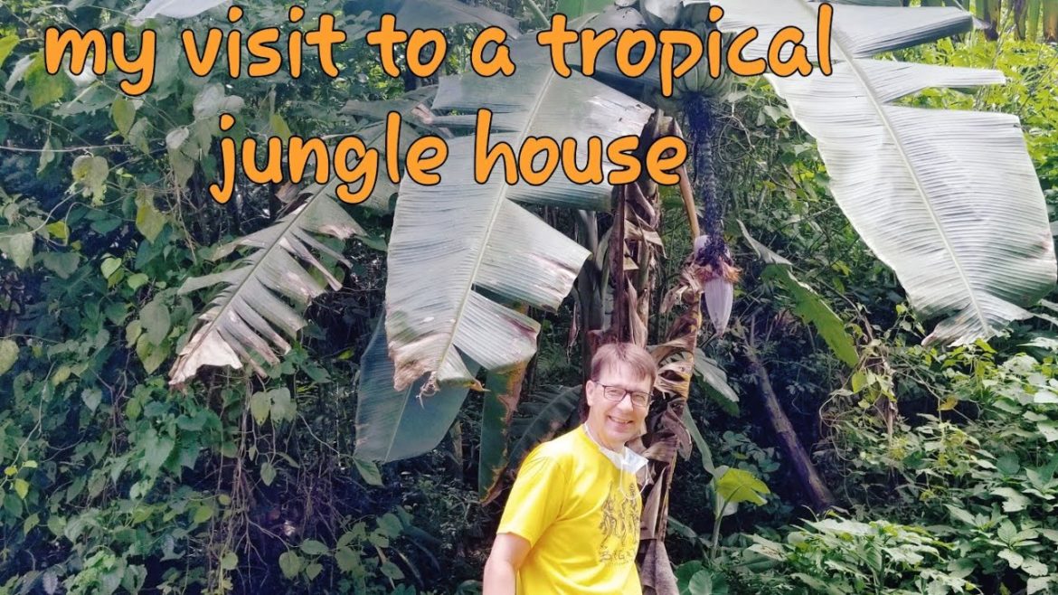 VISITING A VERY INTERESTING TROPICAL PLUS JUNGLE HOUSE LOCATION | INTERESTING FACTS VISITING A VERY INTERESTING TROPICAL PLUS JUNGLE HOUSE LOCATION | INTERESTING FACTS