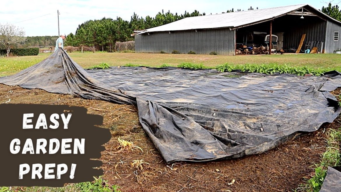 This Worked Like a Charm! | Quick Backyard Garden Prep!