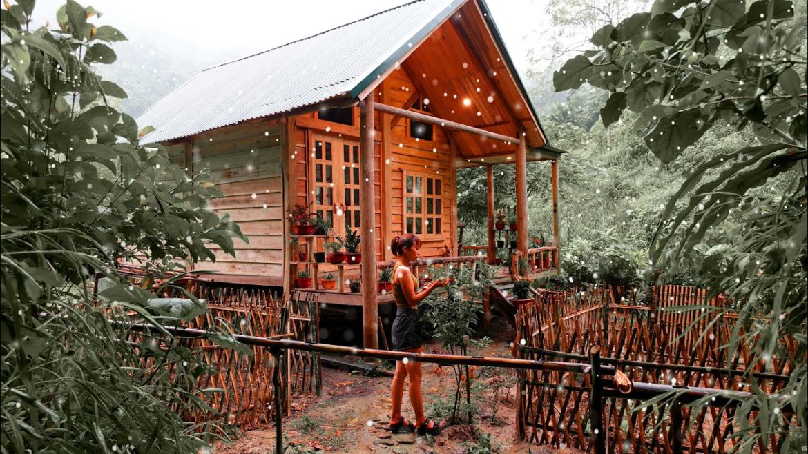 Full Video : winter gardening, Build a pond, fish, harvest vegetables, chop firewood, cook