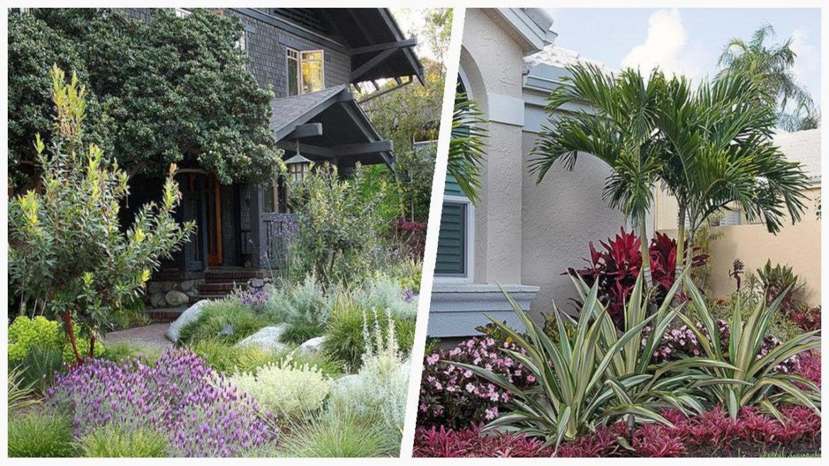 75 Beautiful Front Yard Landscaping Design Ideas #527 | Houzz 🔴 75 Beautiful Front Yard Landscaping Design Ideas #527 | Houzz 🔴