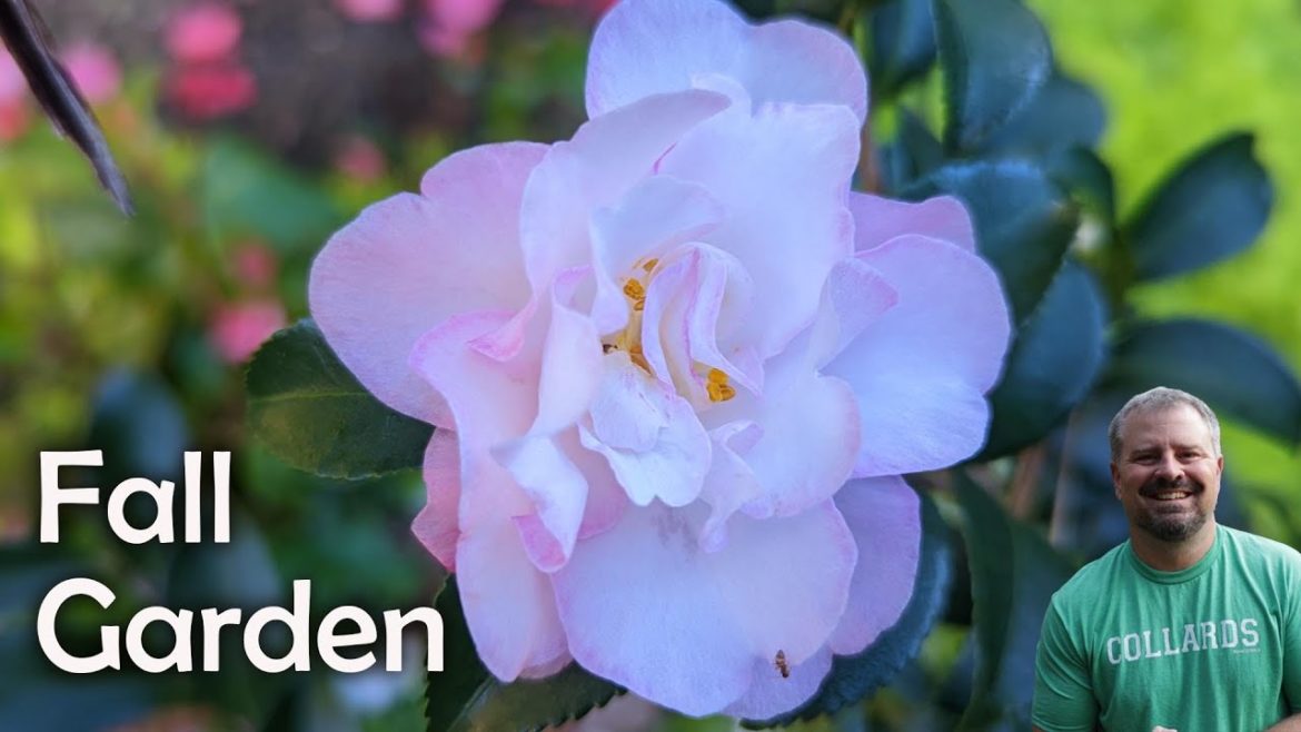 Fall Garden Checklist – November Fall Garden Checklist - November