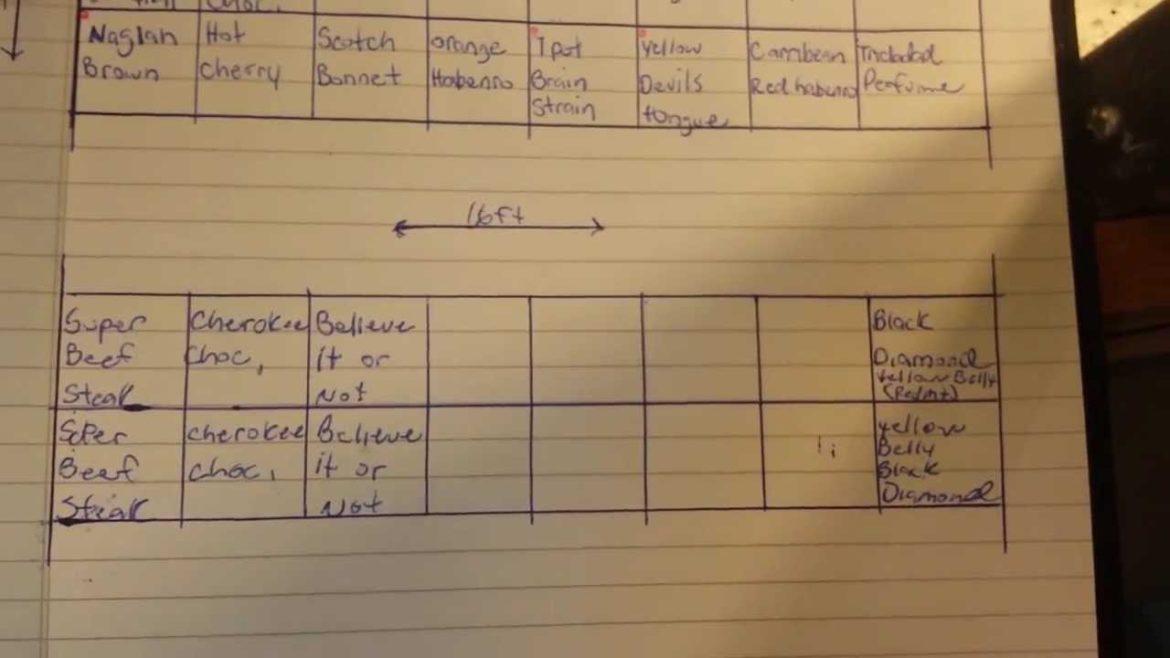 Super hot pepper update & 2014 Garden plans