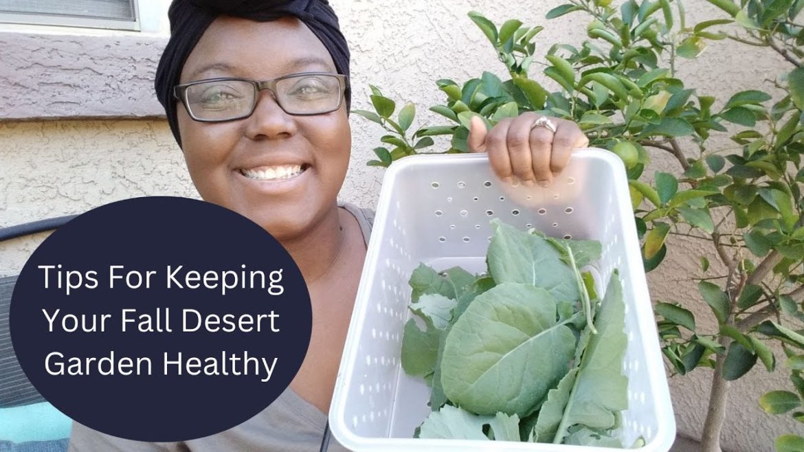 Tips For Keeping Your Fall Desert Garden Healthy – Plus A Little Harvest Tips For Keeping Your Fall Desert Garden Healthy - Plus A Little Harvest