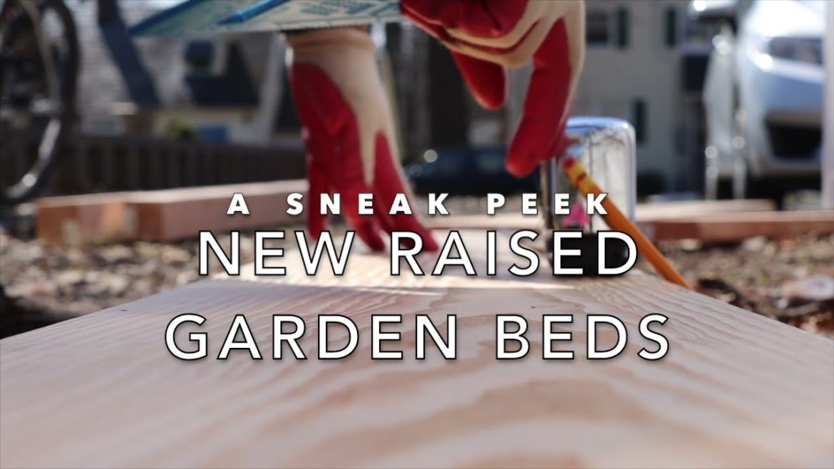 Backyard Garden Build: Part 1 ๐ Broadway Gardener Backyard Garden Build: Part 1 ๐ Broadway Gardener