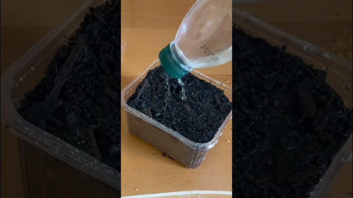 Watch it grow 😵 Watch it grow 😵