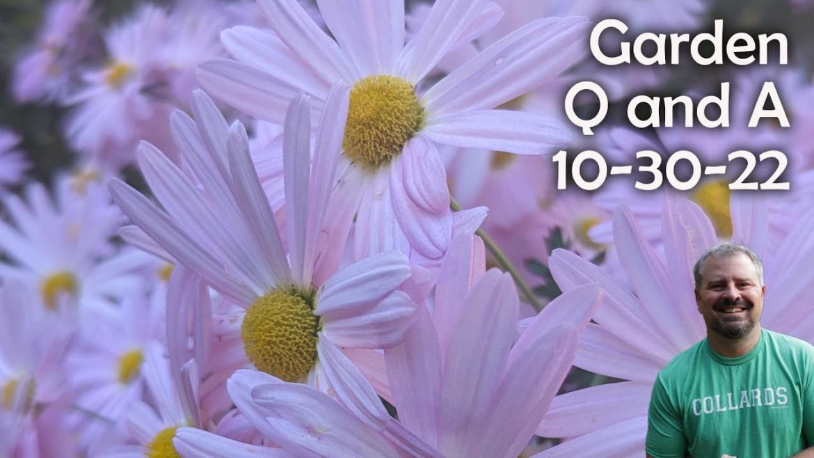 Great Garden Questions Answered - Replanting after disease issue, plants outside their growing zones