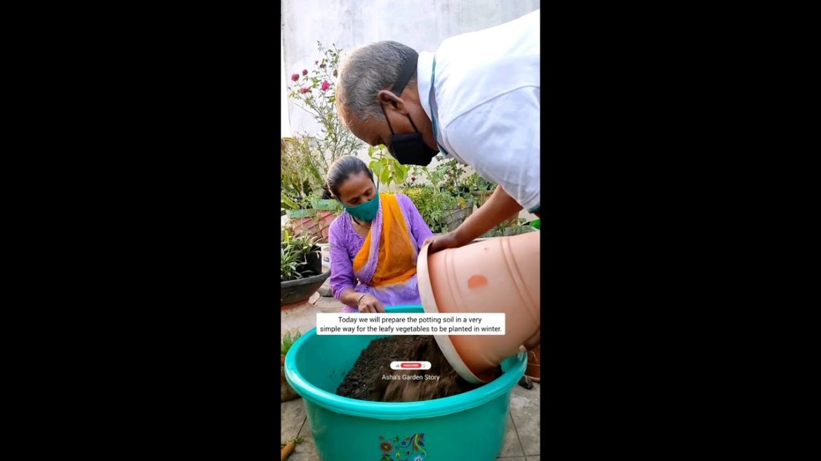 Winter Leafy Vegetables Easy Soil Preparation|सर्दियों के लिए पॉटिंग मिक्स| #ashasgardenstory#shorts Winter Leafy Vegetables Easy Soil Preparation|सर्दियों के लिए पॉटिंग मिक्स| #ashasgardenstory#shorts