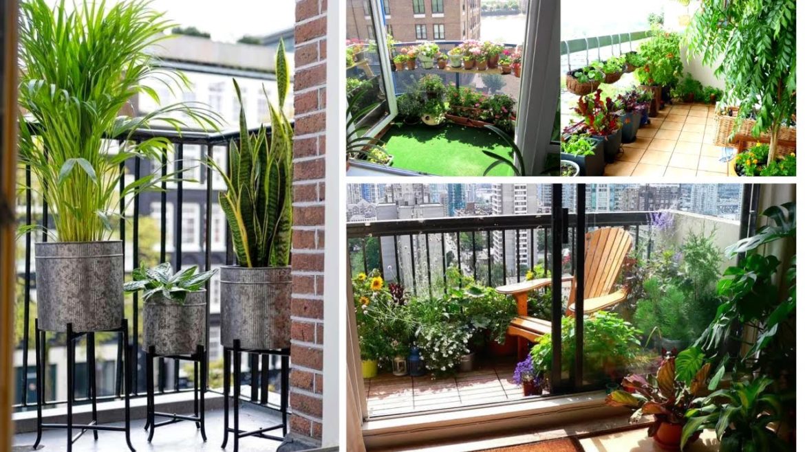 Wow! Small Garden Ideas |Amazing Balcony & Terrace, Apartment Garden Ideas|Swaroopa Diaries