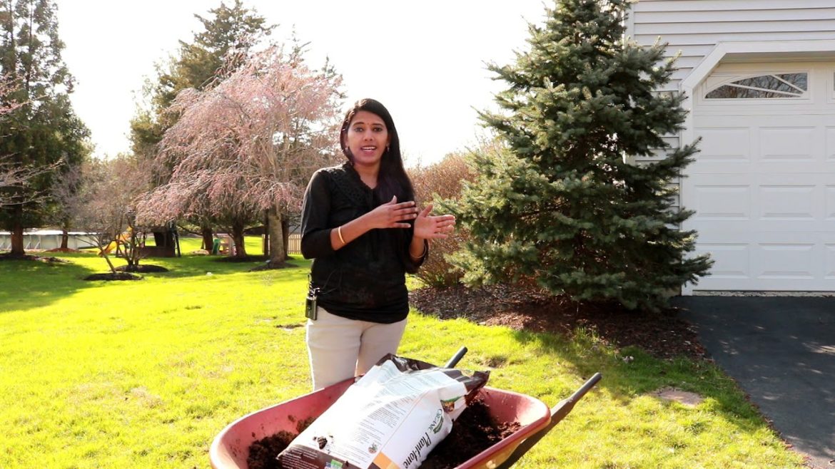 Fertilizing Shrubs and plants | Backyard Garden Highlights