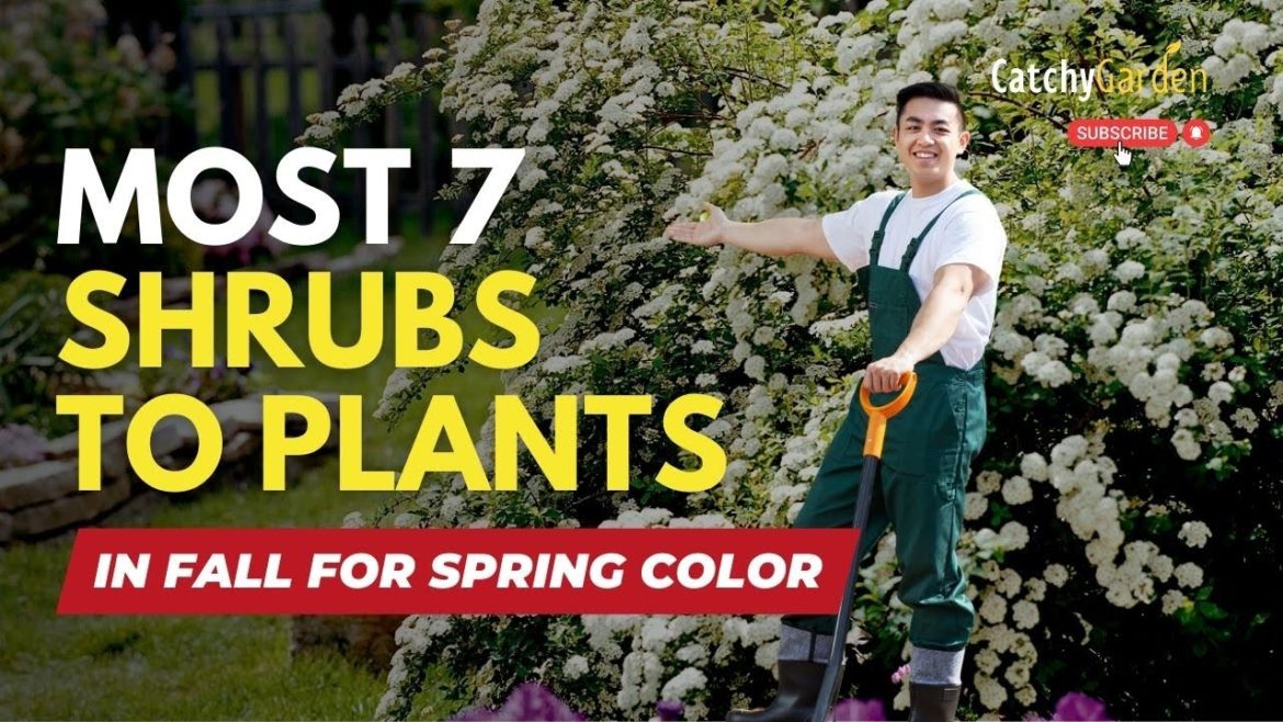 Most 7 Shrubs to Plant in Fall for Beautiful Spring Color 🥀🌿 // GARDENING TIPS Most 7 Shrubs to Plant in Fall for Beautiful Spring Color 🥀🌿 // GARDENING TIPS