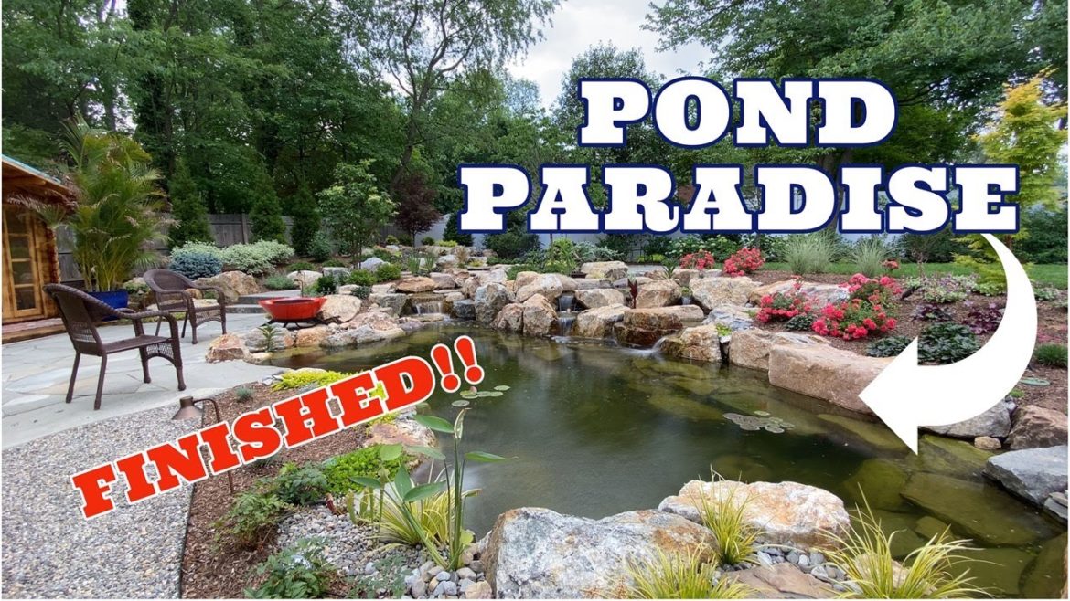 POND PARADISE - Complete Backyard Transformation |FINISHED