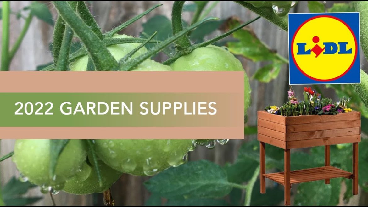 2022 Garden Supplies | Lidl Edition | Zone 7b Gardener | Georgia