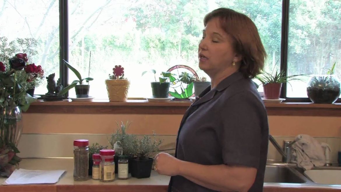 Gardening Tips : How to Design an English Herb Garden
