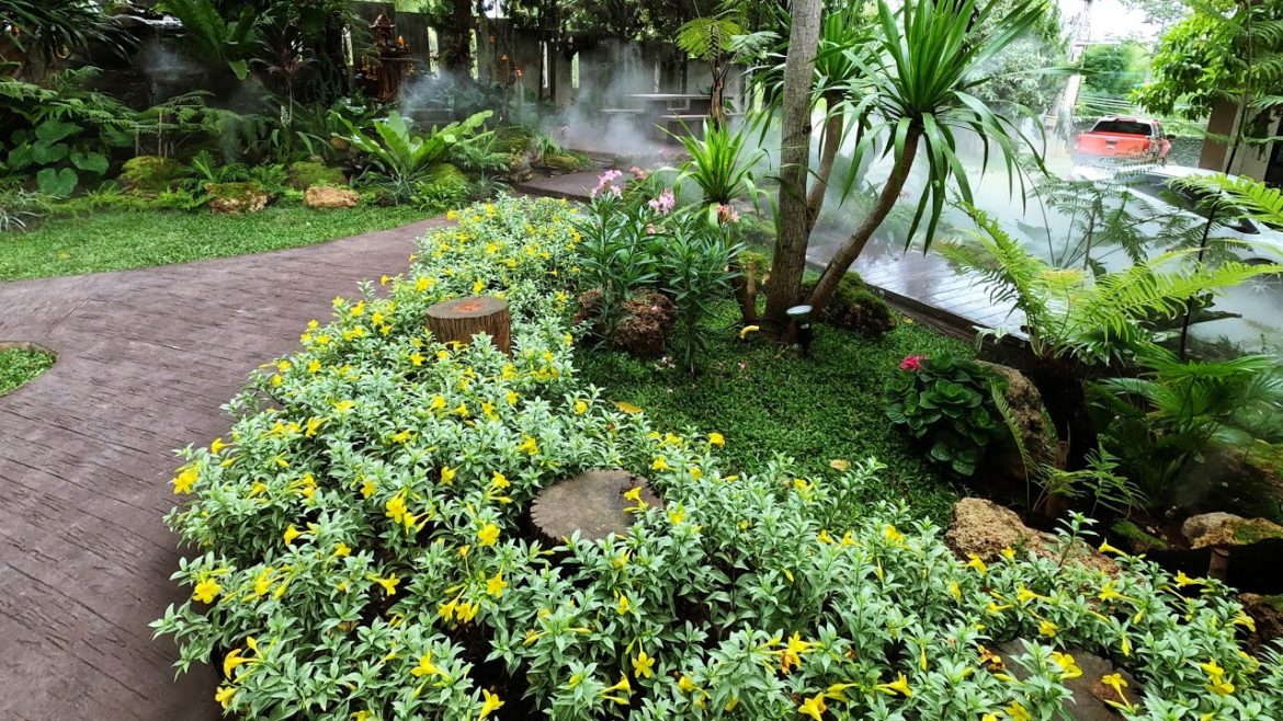 SHADY FRONT YARD, GARDEN IDEAS