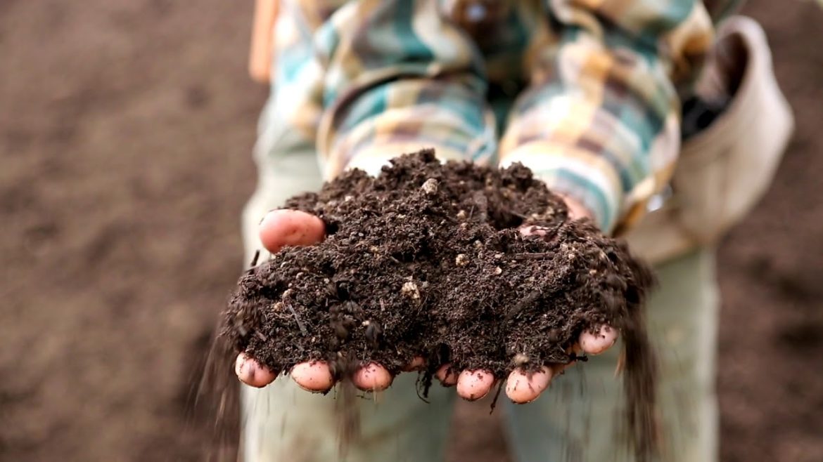 Portland Edible Gardens: Episode 1: RAISED GARDEN BEDS