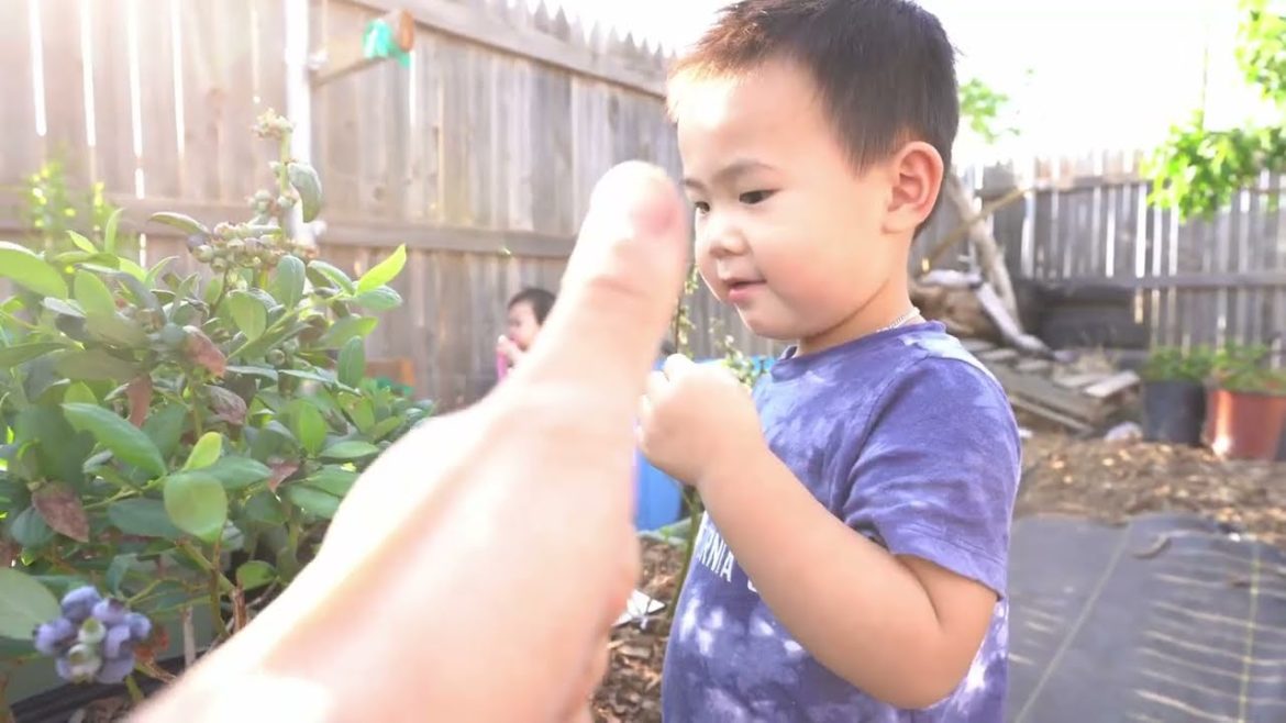 Snippets Of Our Backyard Garden 2022