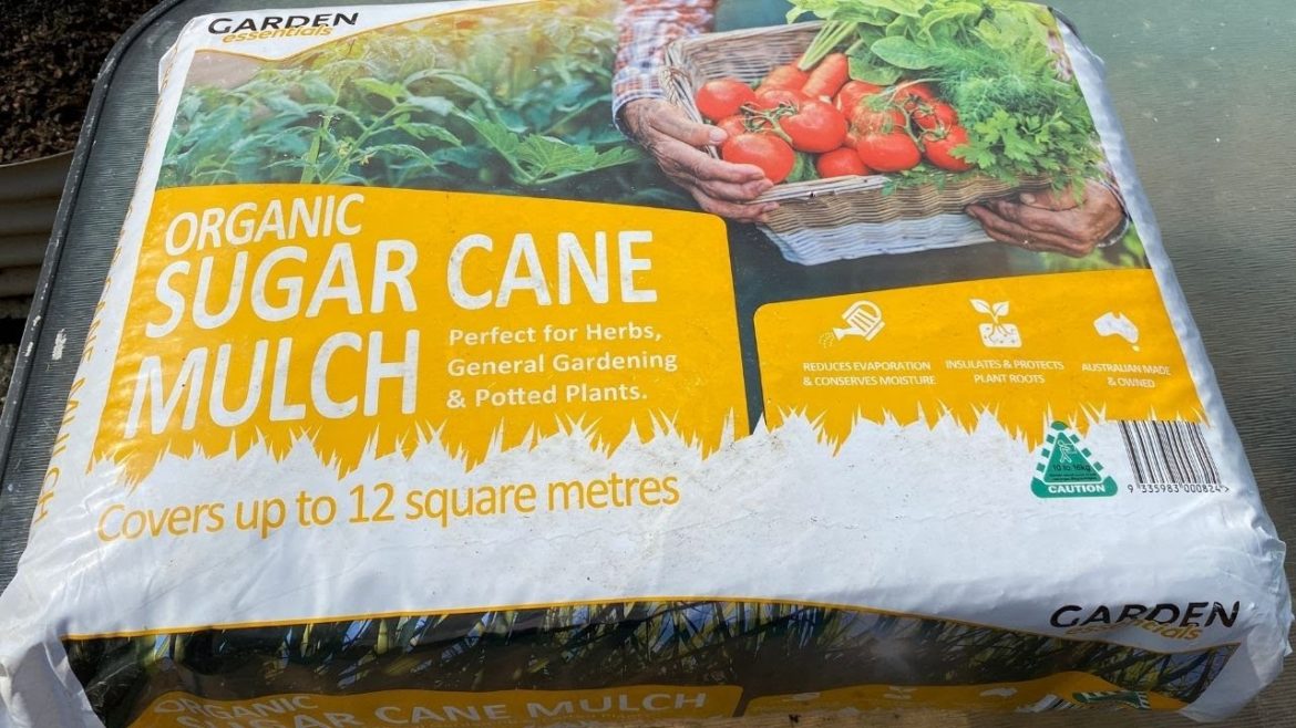 MULCHING your vegetable garden, quick garden tips 1