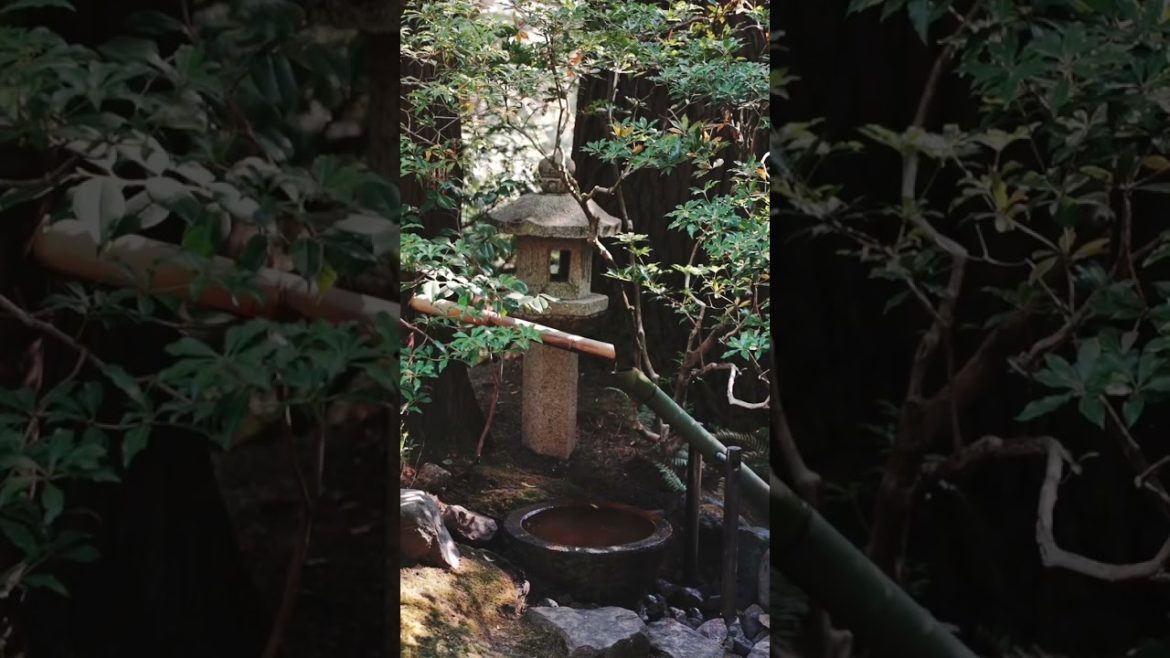 Portland Japanese Garden Bamboo Fountain  #shorts #japan #garden #portland