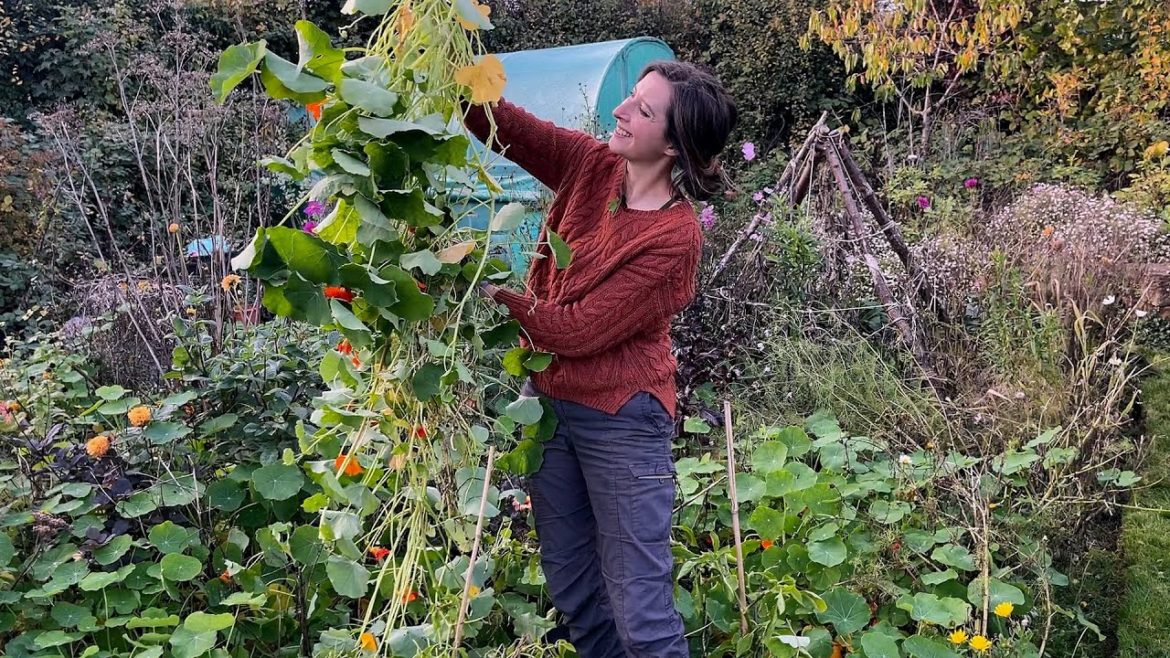 October Plot Tour & Tidy Up 2022 / Homegrown Garden