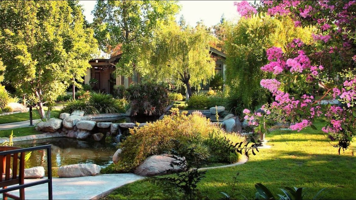 🌺Красивые уголки благоустроенных участков / Garden ideas / A – Video 🌺Красивые уголки благоустроенных участков / Garden ideas / A - Video