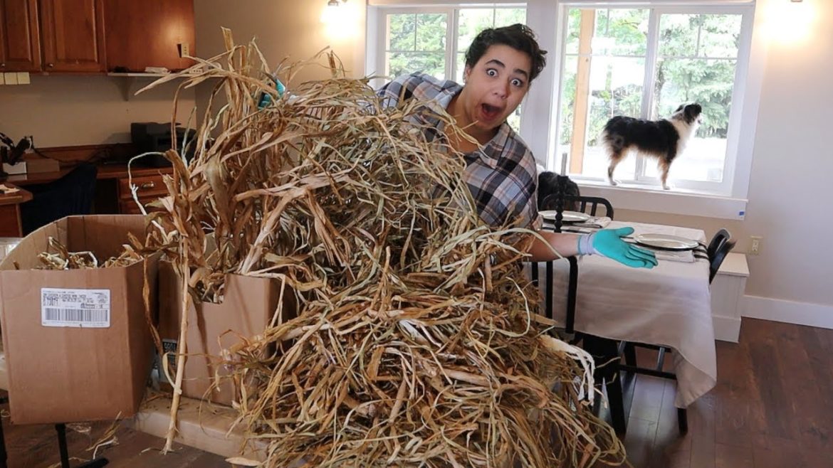 Let the Garlic Peeling Party Begin!