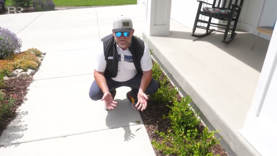Choosing The Right Plants For Xeriscaping | Big Rock Premium Landscaping And Design Choosing The Right Plants For Xeriscaping | Big Rock Premium Landscaping And Design