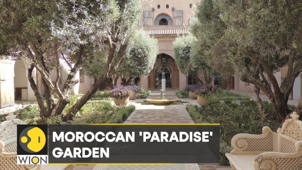 WION Climate Tracker: Garden of plants and artworks in Morocco WION Climate Tracker: Garden of plants and artworks in Morocco
