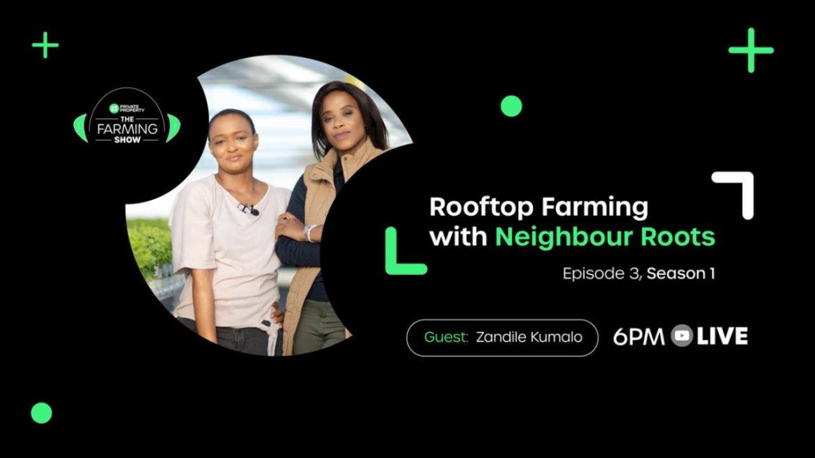 Rooftop Farming with Neighbour Roots Part 3 : Business and Supply Management Rooftop Farming with Neighbour Roots Part 3 : Business and Supply Management