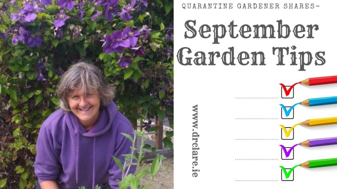 September Top Tips with the Quarantine Gardener-what to do this time of year in the garden… September Top Tips with the Quarantine Gardener-what to do this time of year in the garden...