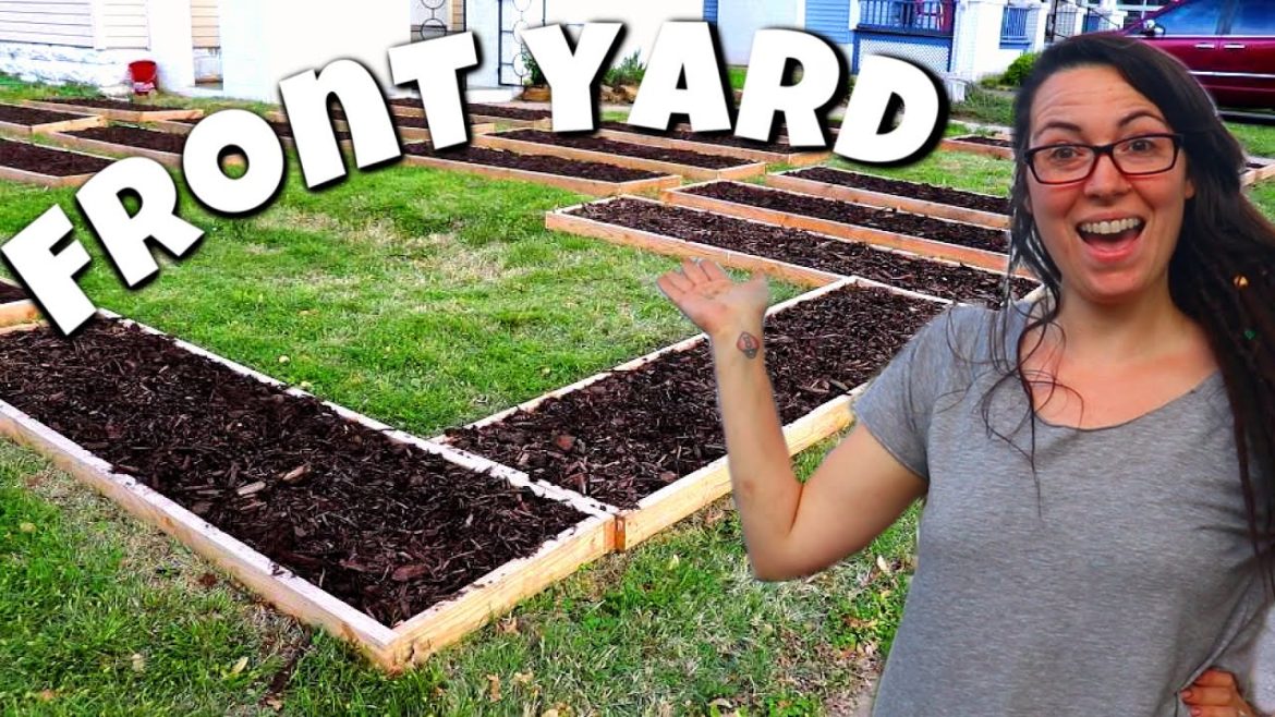 My FRONT YARD Raised Gardens are Finally Ready! | Homestead Dreaming My FRONT YARD Raised Gardens are Finally Ready! | Homestead Dreaming