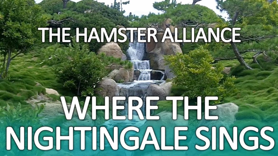 Japanese Garden (Hamster Alliance) Japanese Garden (Hamster Alliance)