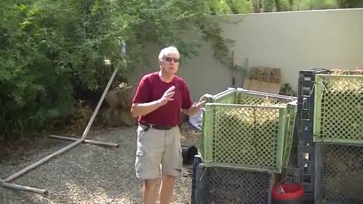 Francis the Gardener - TIP #9: Composting in the desert