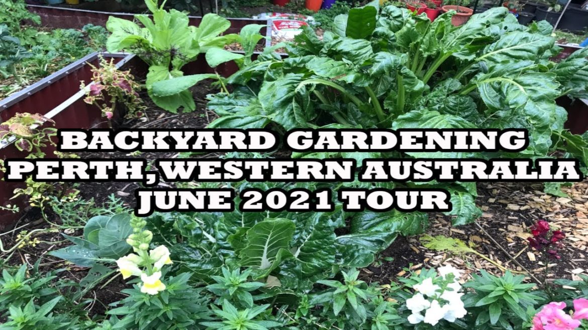 Backyard Garden Tour - Jun 2021