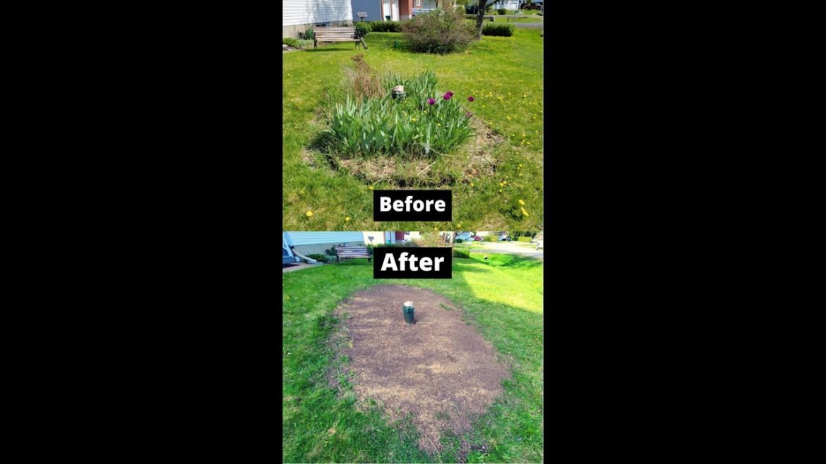 how to lose a garden in 15 seconds.