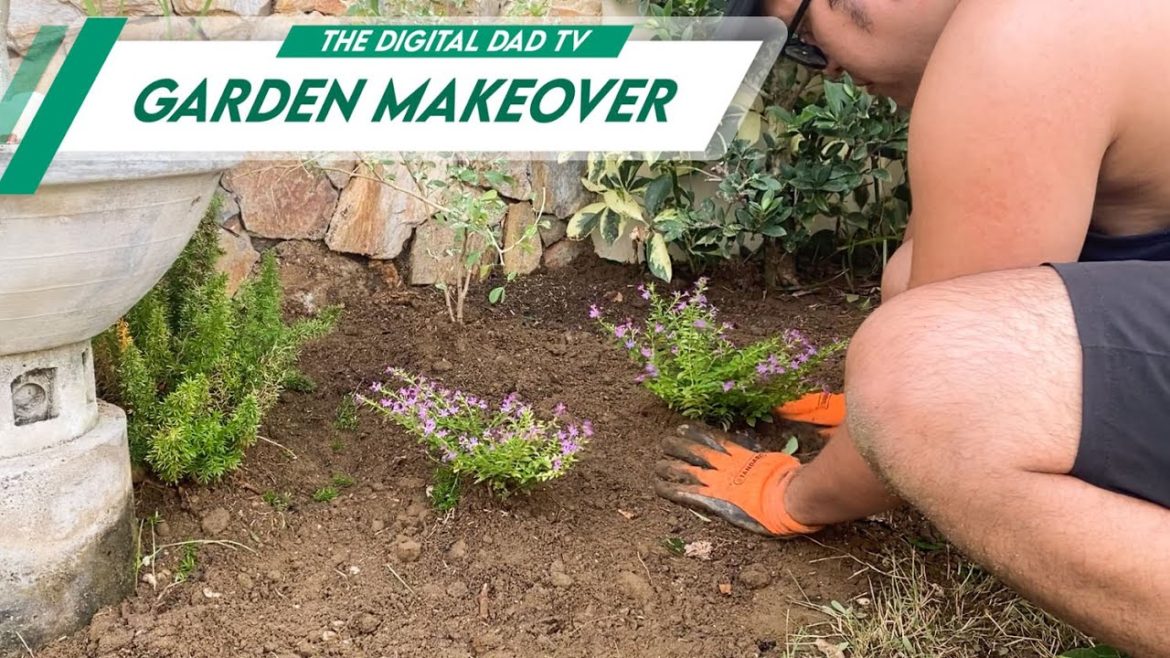 Plantito Front Yard Garden Makeover - The Digital Dad TV