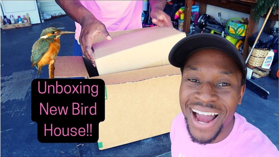 Unboxing Birdhouse with Perfect Placement! Front Yard Garden Birdhouse! GWM Unboxing Birdhouse with Perfect Placement! Front Yard Garden Birdhouse! GWM
