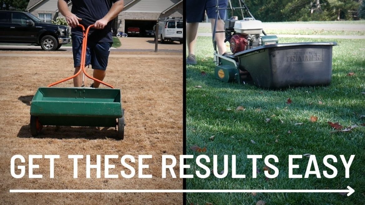 Lawn Renovation From Start to Finish // 45 Day Results EASY Lawn Renovation From Start to Finish // 45 Day Results EASY