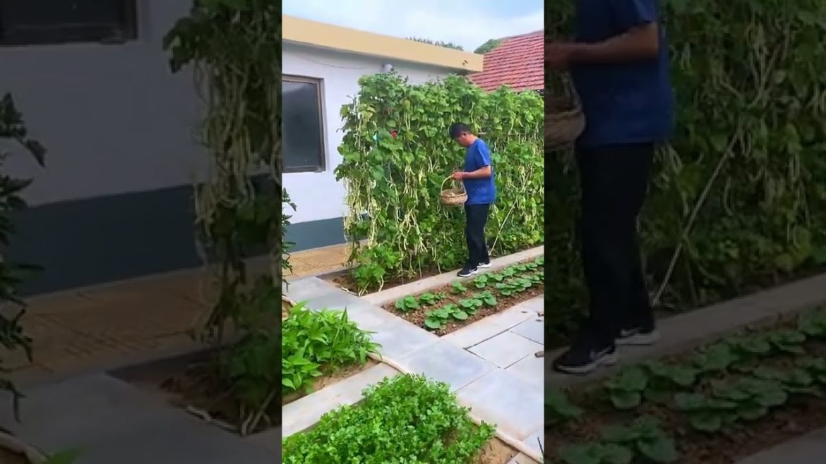 October 2022 Tips for garden at home with me October 2022 Tips for garden at home with me