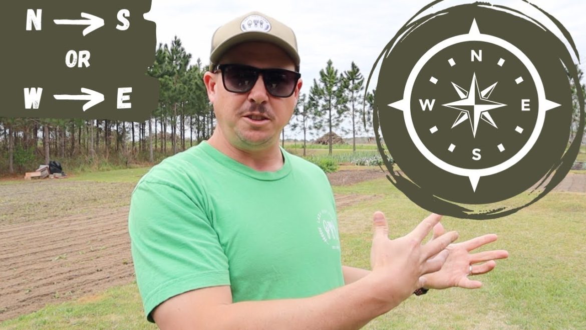 Does Planting Direction Matter? | Backyard Garden Rows Does Planting Direction Matter? | Backyard Garden Rows