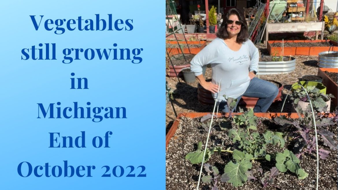 Vegetable Garden Update // Gardening at the Simongetti North