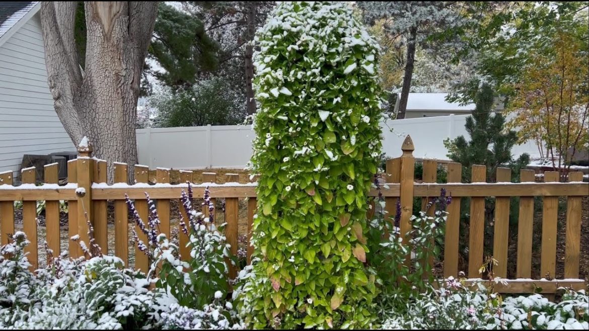 Get Your Garden Ready for Winter! Get Your Garden Ready for Winter!