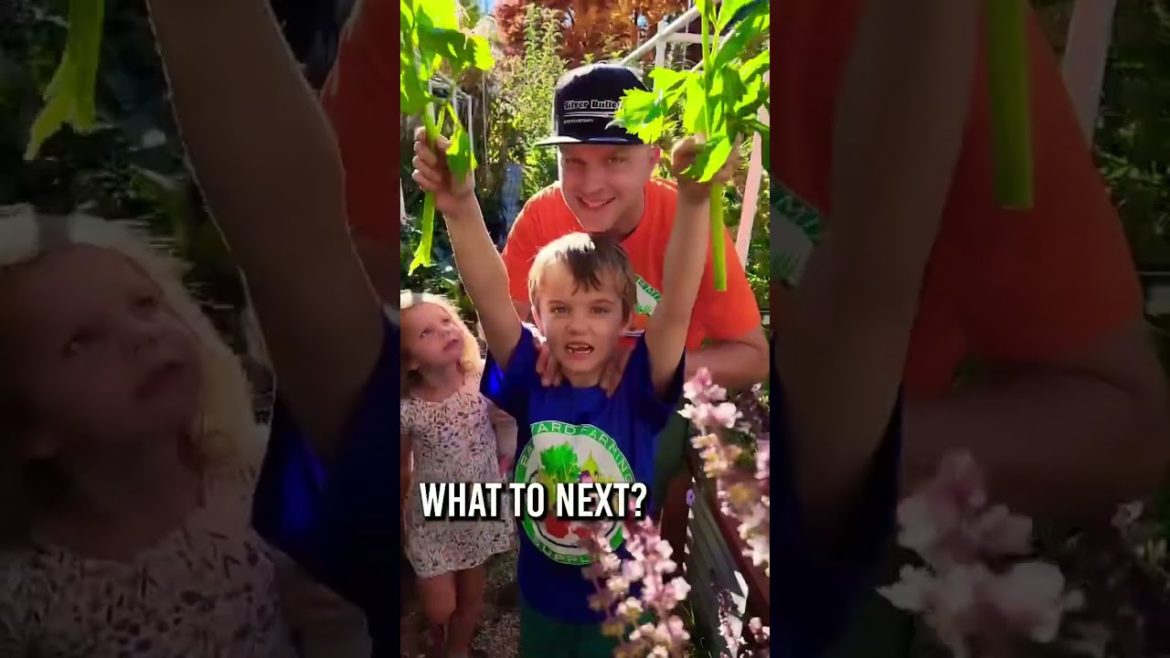 Before it freezes, do this with your celery 🥶 #celery #blanchingcelery