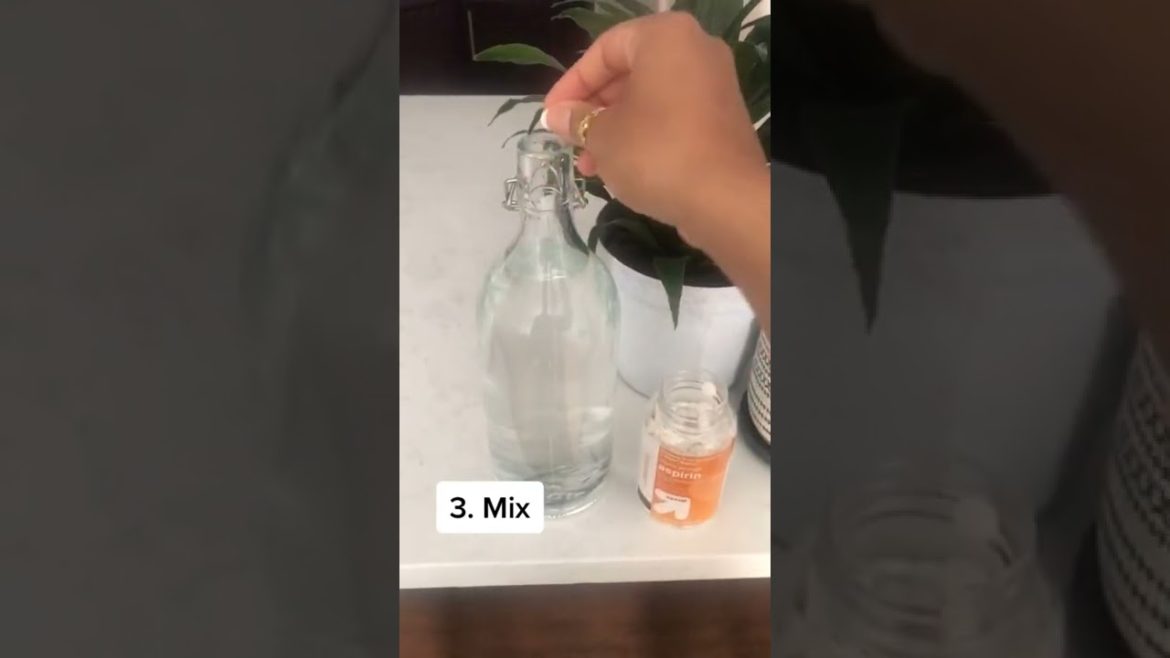 Indoor Plants Tiktok celenabrownie