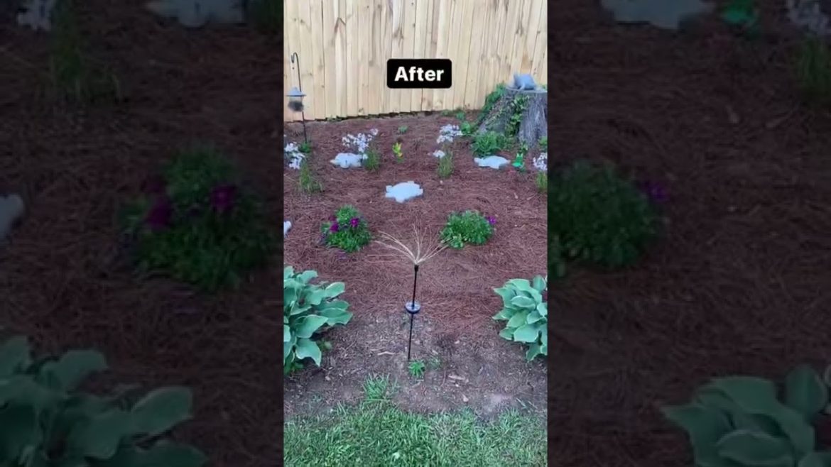 Garden design inspiration