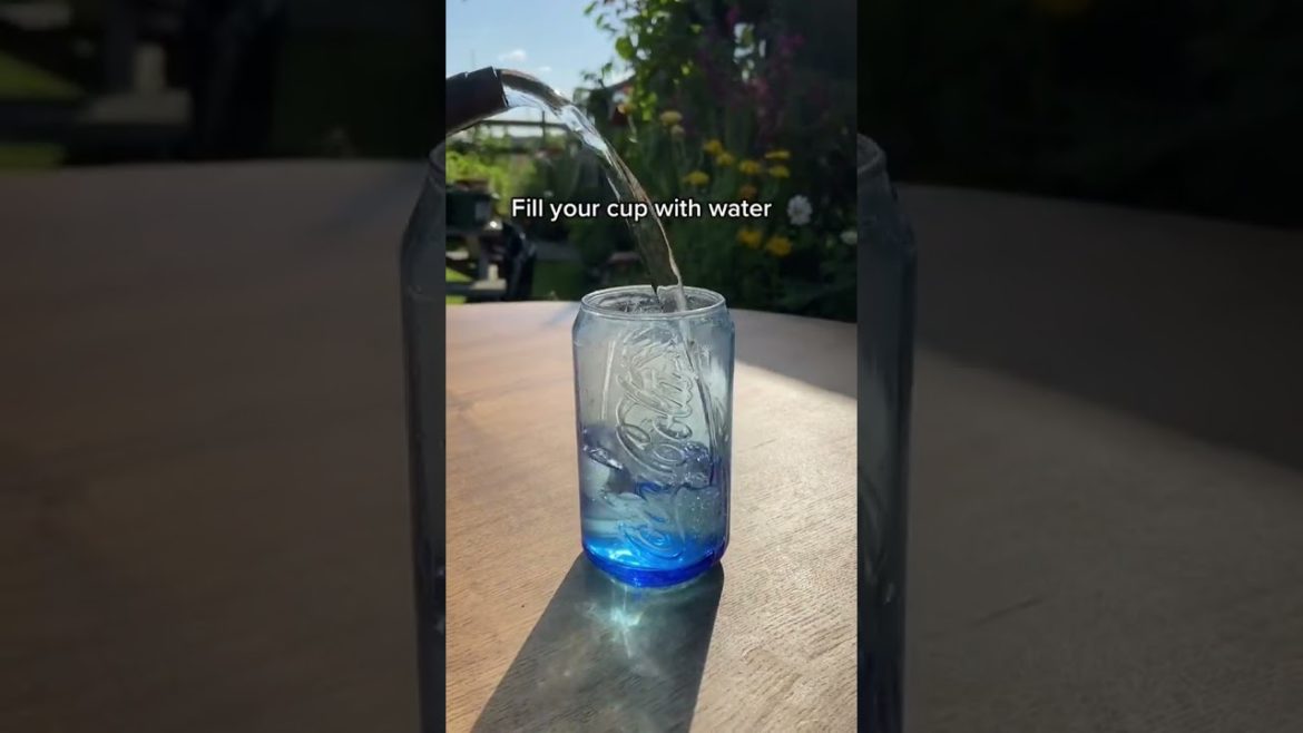 #shorts #garden #gardening #gardentour #gardener #gardens #harvest #harvesting #organic #planting #shorts #garden #gardening #gardentour #gardener #gardens #harvest #harvesting #organic #planting