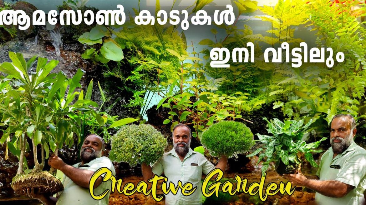 വ്യത്യസ്തമായ  ഒരു ഗാർഡൻ ||Garden tour  Malayalam ||Creative Garden Ideas || Garden Design|| Hanging