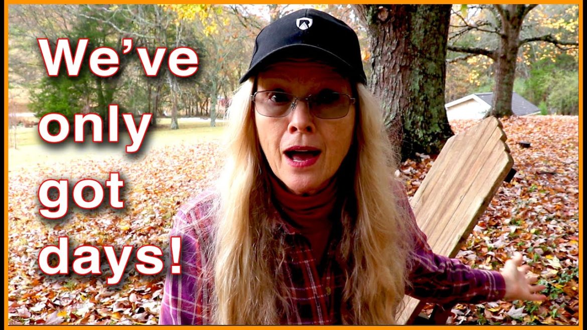 HELP! People are going to die and they SAID SO!