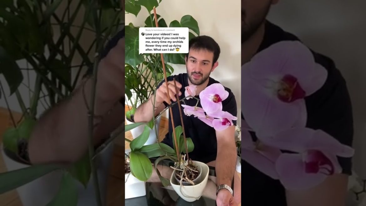 #shorts #garden #gardening #gardentour #gardener #gardens #harvest #harvesting #organic #planting #shorts #garden #gardening #gardentour #gardener #gardens #harvest #harvesting #organic #planting