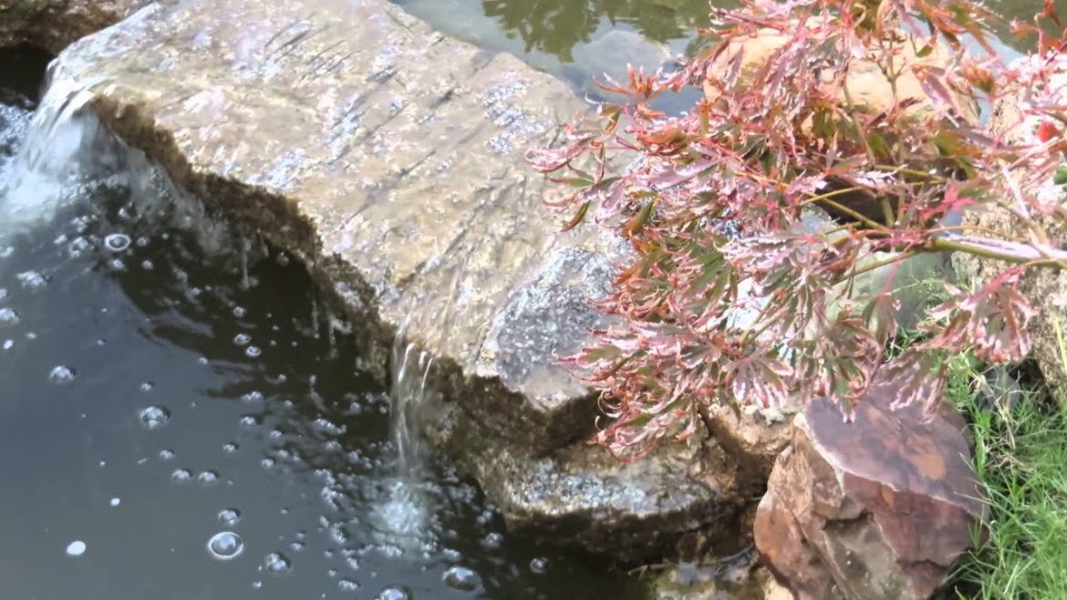 JAPANESE GARDEN DESIGNER MELBOURNE - all rights reserved