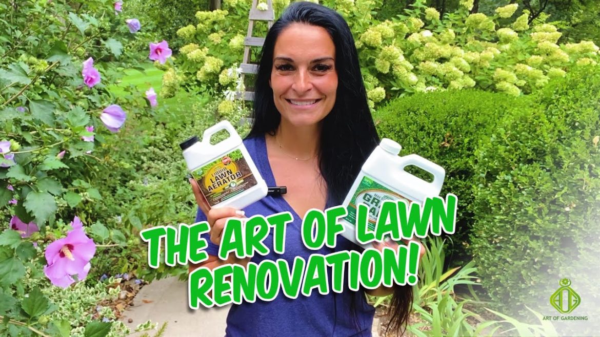 How To Get A Beautiful Lawn? | Art of Gardening